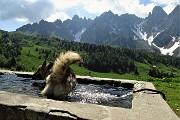14 Alla fontana della Malga Rena (1674 m) primo bagnetto mattutino di Dori